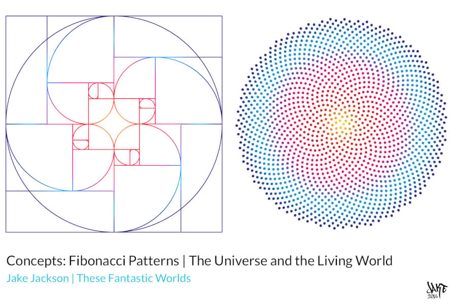 Concepts Fibonacci Patterns